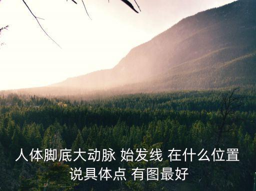 人體腳底大動脈 始發線 在什么位置 說具體點 有圖最好