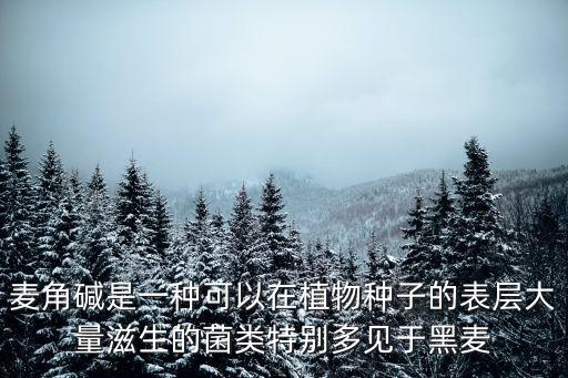 麥角堿是一種可以在植物種子的表層大量滋生的菌類特別多見于黑麥