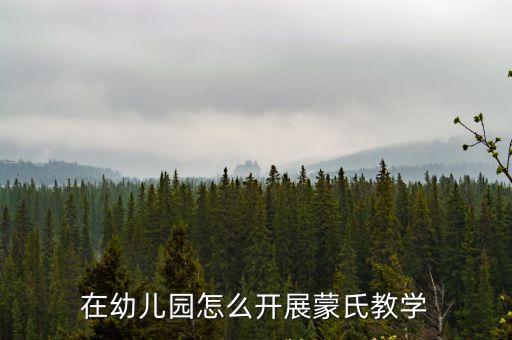蒙氏教學，在幼兒園怎么開展蒙氏教學