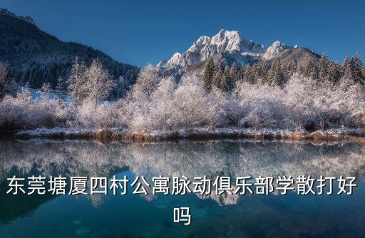東莞塘廈四村公寓脈動俱樂部學散打好嗎