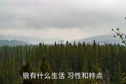 狼的習性,狼群獵食北半球獵物種類繁多適應性強