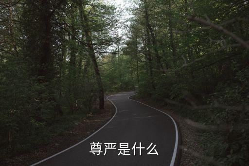 尊嚴，什么是尊嚴