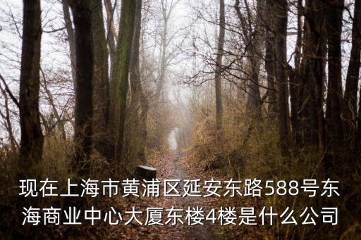 現在上海市黃浦區延安東路588號東海商業中心大廈東樓4樓是什么公司