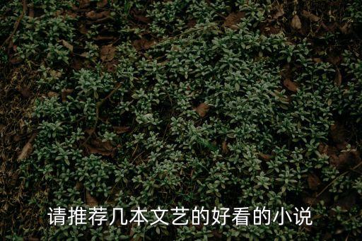 請推薦幾本文藝的好看的小說