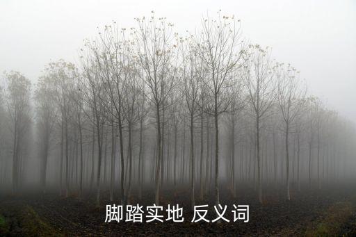 腳踏實地 反義詞