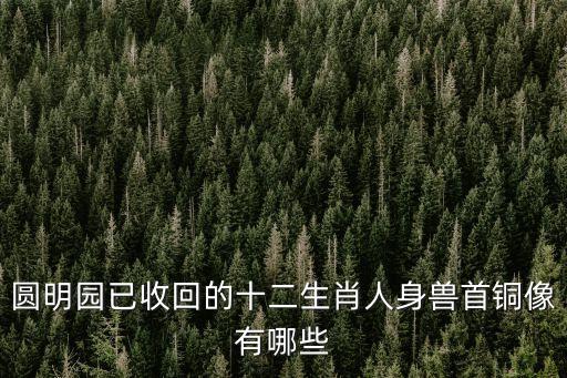 圓明園已收回的十二生肖人身獸首銅像有哪些