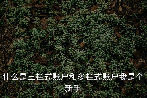 什么是三欄式賬戶和多欄式賬戶我是個新手