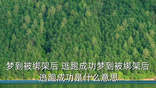 夢見逃跑成功,新年夢想被綁架后自己設法逃脫說明運勢不錯