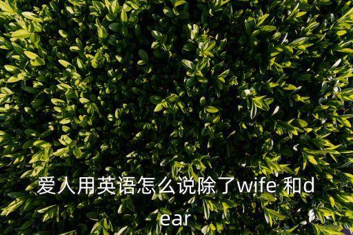 愛(ài)人用英語(yǔ)怎么說(shuō)，愛(ài)人英文怎么解釋