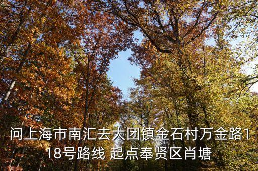 問(wèn)上海市南匯去大團(tuán)鎮(zhèn)金石村萬(wàn)金路118號(hào)路線 起點(diǎn)奉賢區(qū)肖塘