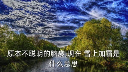 雪上加霜的意思,我沒帶包證!雪上加霜:你做的是對他的懲罰