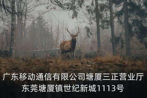 東莞百年星光，東莞2011年又建了一棟電視臺嗎在東莞大道那邊是真的嗎www