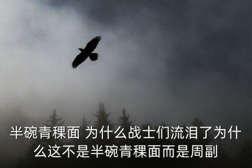 半碗青稞面，半碗青稞面 表示軍糧很少的詞語