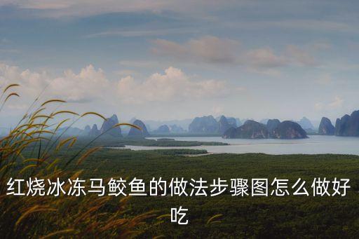 紅燒冰凍馬鮫魚的做法步驟圖怎么做好吃