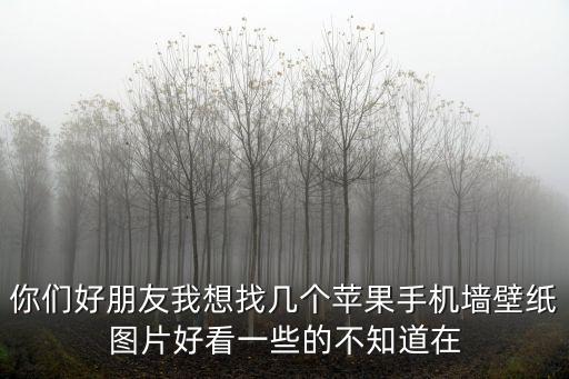 你們好朋友我想找?guī)讉€(gè)蘋果手機(jī)墻壁紙圖片好看一些的不知道在
