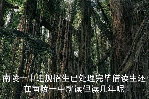 南陵一中違規(guī)招生已處理完畢借讀生還在南陵一中就讀但讀幾年呢