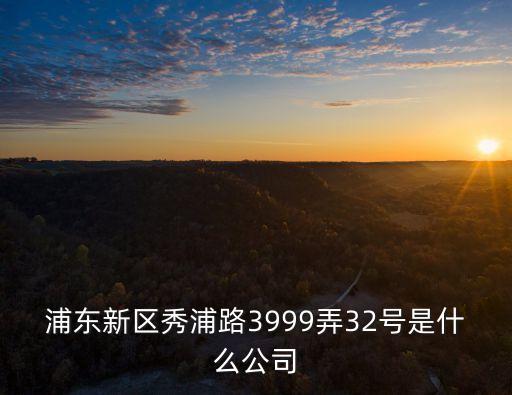 浦東新區秀浦路3999弄32號是什么公司