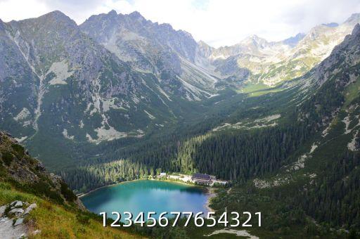 12345677654321