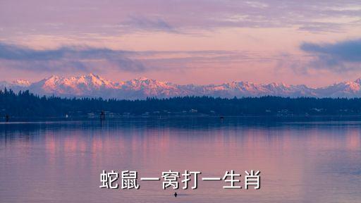 蛇鼠一窩打一生肖