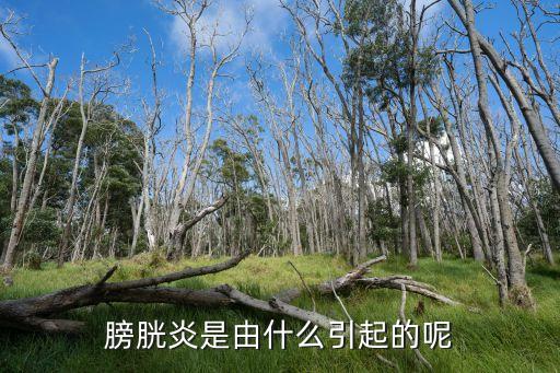 膀胱炎是怎么引起的，膀胱炎 癥是什么引發(fā)的