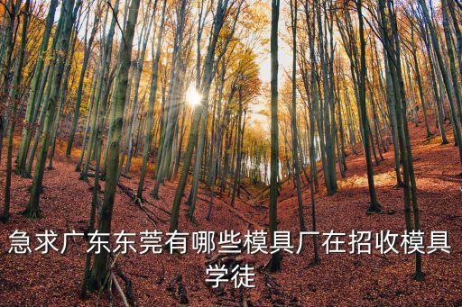 急求廣東東莞有哪些模具廠在招收模具學徒