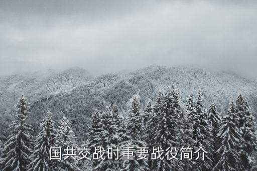 遼沈戰役簡介,解放東北三大戰役全面被殲滅