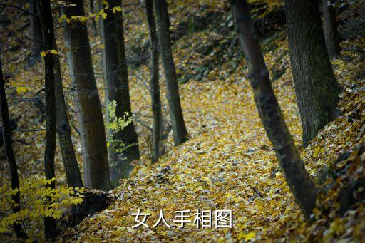 女人手相圖