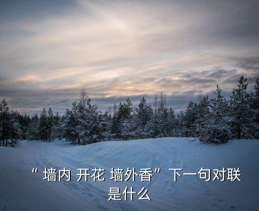 墻內開花墻外香,墻內開花墻外香四個字!