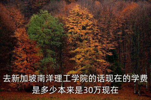 南洋理工大學學費，廣州南洋理工學院要多少錢