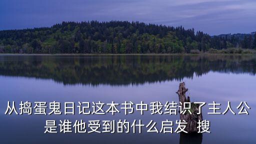 搗蛋鬼日記讀后感，從搗蛋鬼日記這本書中我結識了主人公是誰他受到的什么啟發  搜