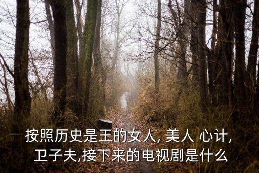 美人心計衛子夫,衛子夫之后的故事?