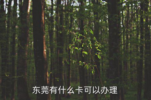 東莞有什么卡可以辦理
