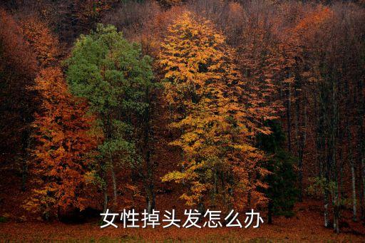 女性掉頭發怎么辦