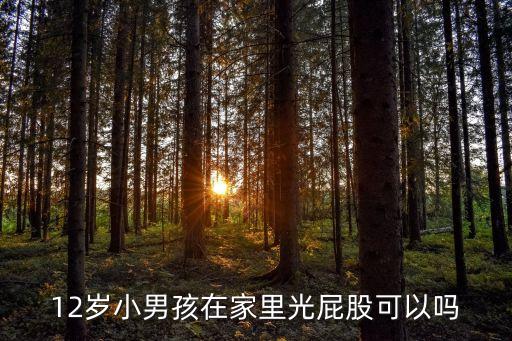 12歲小男孩在家里光屁股可以嗎