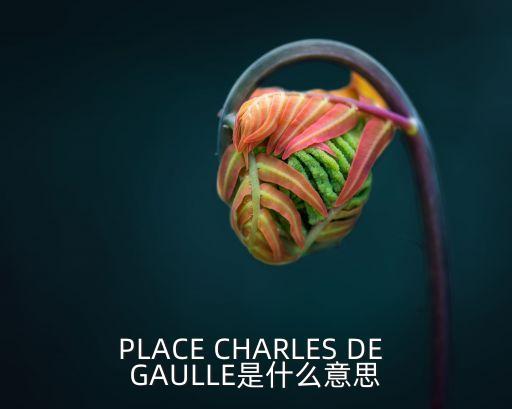 戴高樂(lè)廣場(chǎng)，PLACE CHARLES DE GAULLE是什么意思