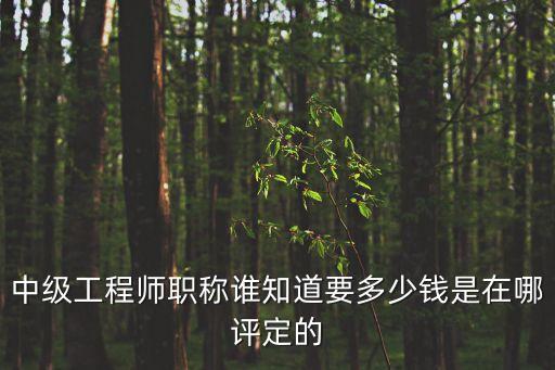 中級(jí)工程師職稱(chēng)誰(shuí)知道要多少錢(qián)是在哪評(píng)定的
