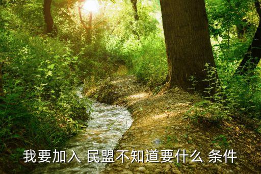 民盟加入條件,若你所在城市有民盟市委可向市委組織部申請加入