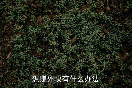 想賺外快有什么辦法