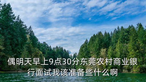 偶明天早上9點30分東莞農(nóng)村商業(yè)銀行面試我該準備些什么啊