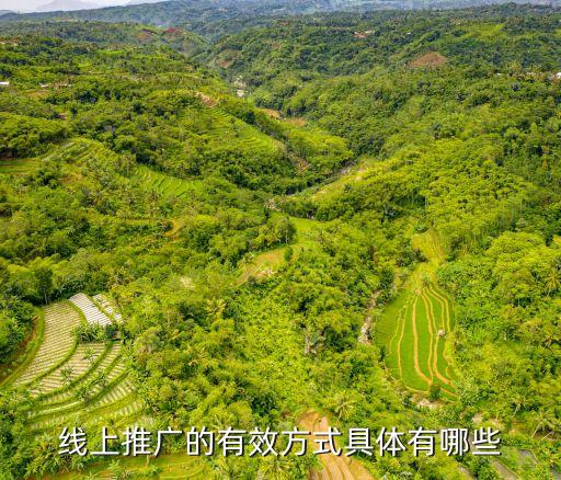 線上推廣的有效方式具體有哪些