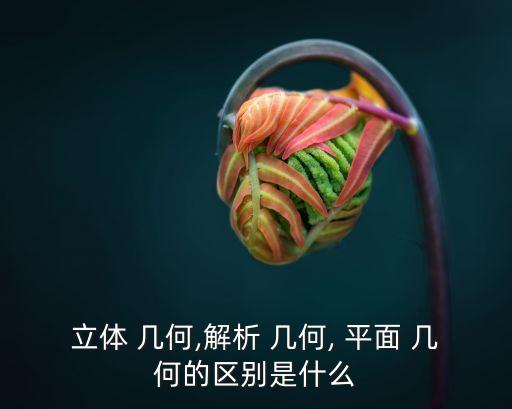 立體 幾何,解析 幾何, 平面 幾何的區別是什么