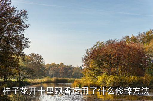 抒情方式有哪些，我的小月亮我永遠忘不掉你運用了什么抒情方式