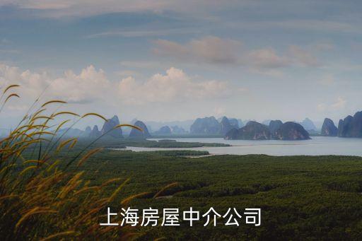 上海市中介服務，上海都有什么房產中介公司