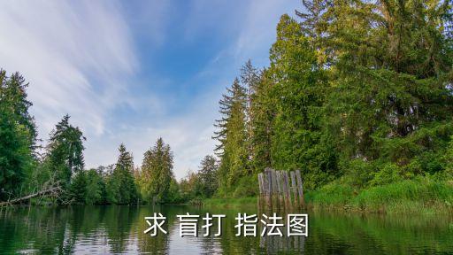 求 盲打 指法圖