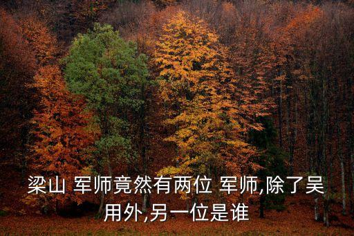 宋江的軍師,趙安被任命為武勝軍特使還有一位軍師