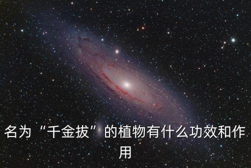 名為“千金拔”的植物有什么功效和作用