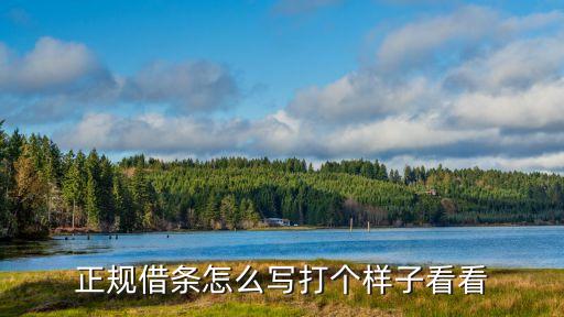 正規借條怎么寫打個樣子看看