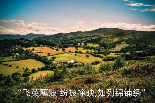 “飛英蘸波 紛披掩映,如列錦鋪繡”