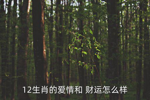 12生肖的愛情和 財運怎么樣