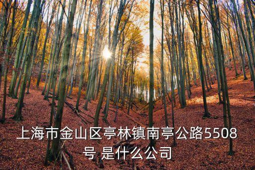 上海市金山區亭林鎮南亭公路5508號 是什么公司